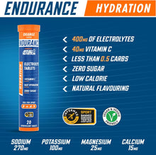 Load image into Gallery viewer, Endurance Hydration Electrolyte Tablets - 20 tabs x 6 tubes
